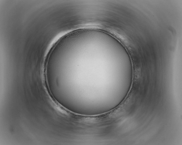 X0000113011470200908271358