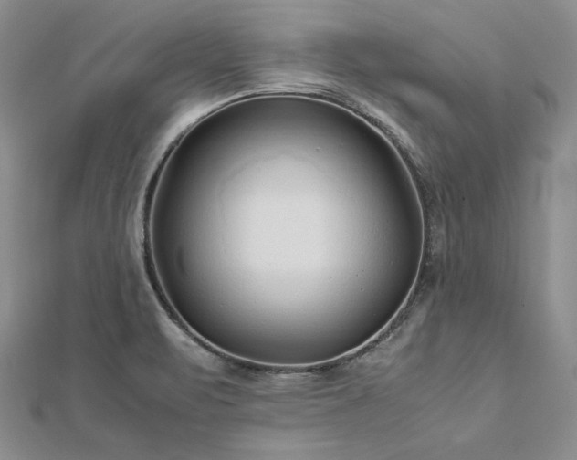 X0000113011471200908271358