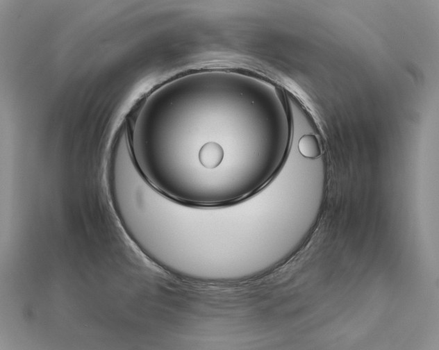 X0000113011472200908271358