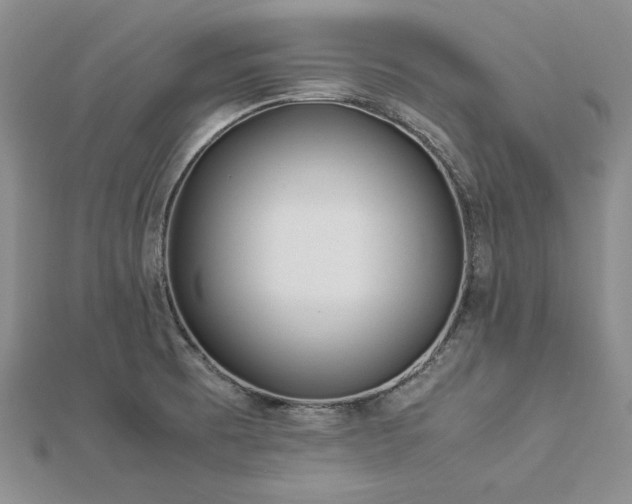 X0000113011473200908271358