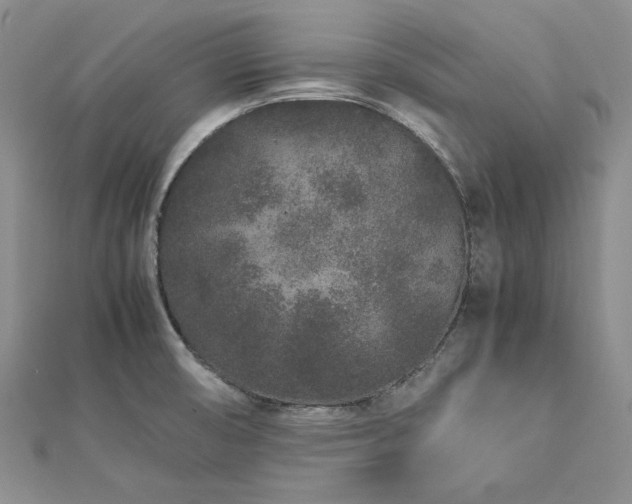 X0000113011474200908271358