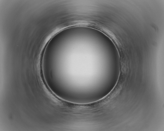 X0000113011475200908271358