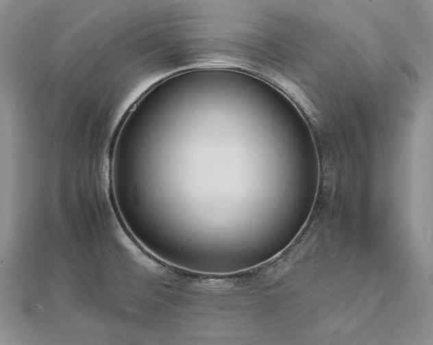 X0000113011476200908271358