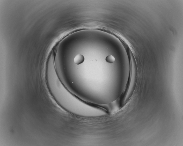 X0000113011477200908271358