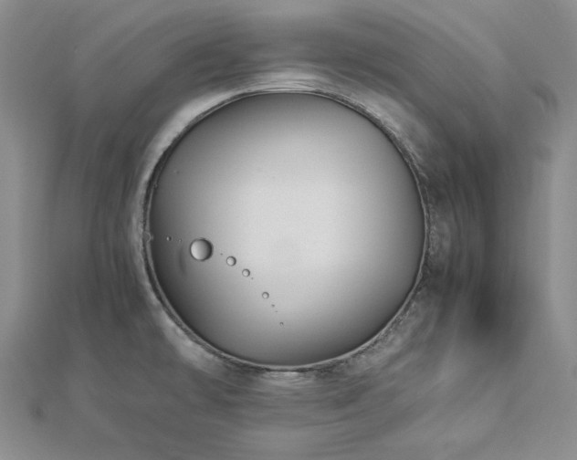 X0000113011478200908271358