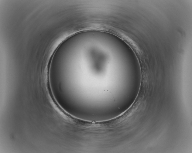 X0000113011479200908271358