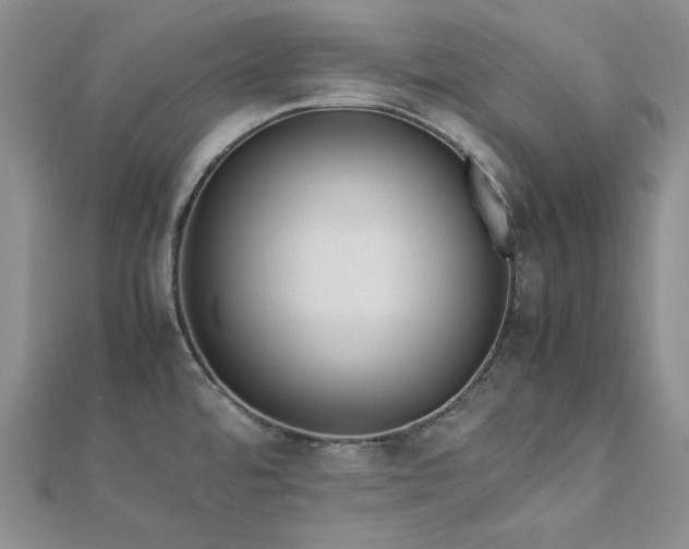 X0000113011480200908271358