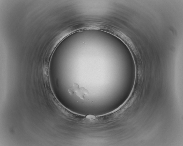 X0000113011481200908271358