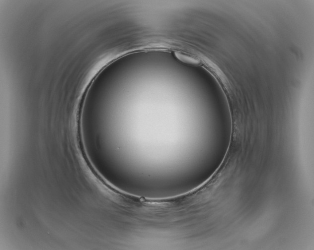 X0000113011483200908271358