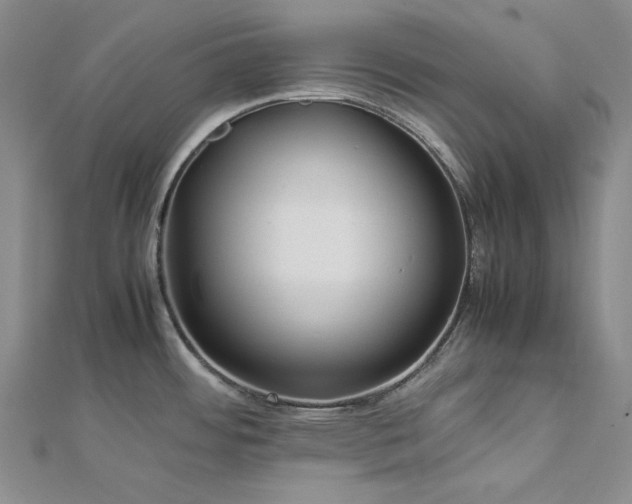 X0000113011484200908271358