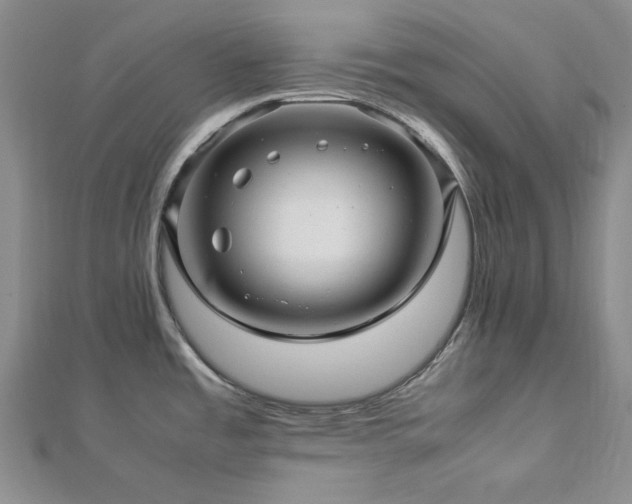 X0000113011485200908271358