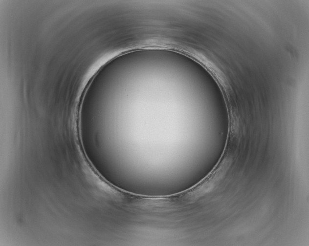 X0000113011486200908271358