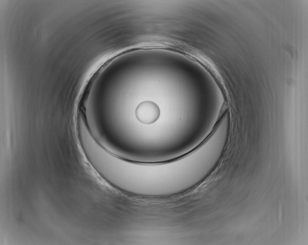 X0000113011488200908271358