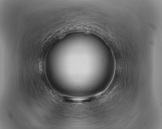 X0000113011490200908271357