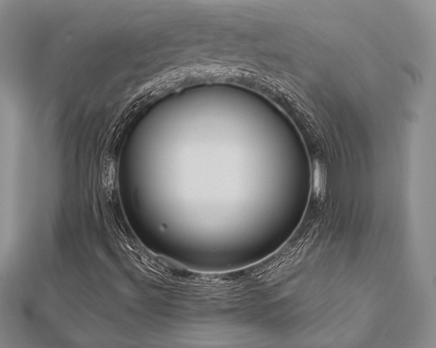 X0000113011492200908271357