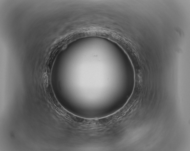 X0000113011493200908271357