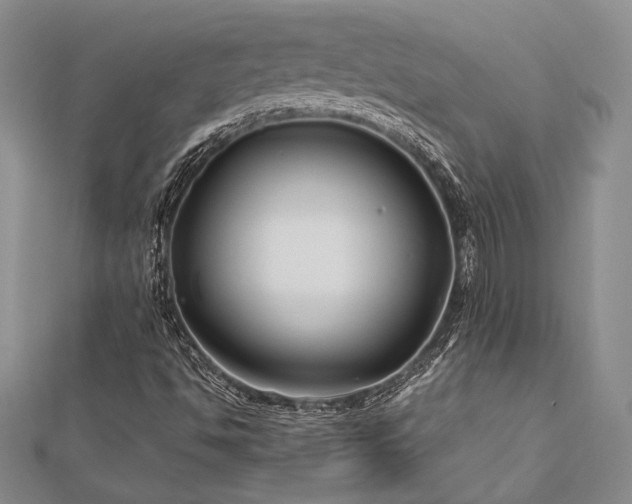 X0000113011494200908271357