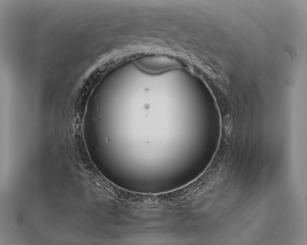 X0000113011495200908271357