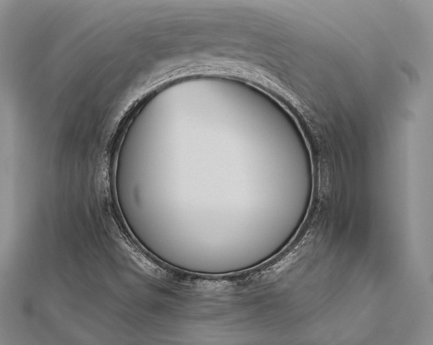 X0000113011498200908271357