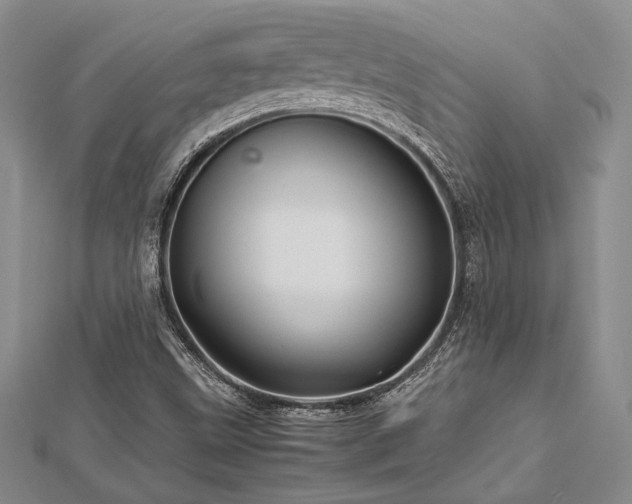 X0000113011499200908271357