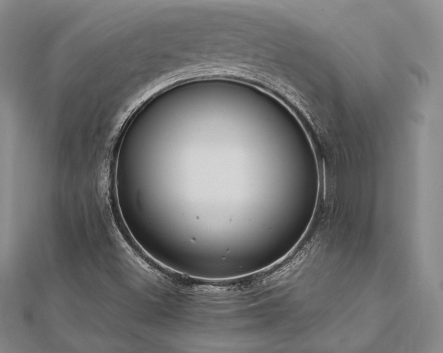 X0000113011500200908271357