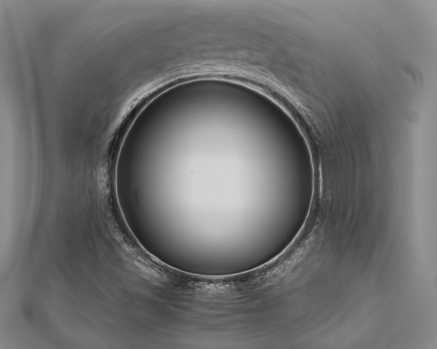 X0000113011501200908271357