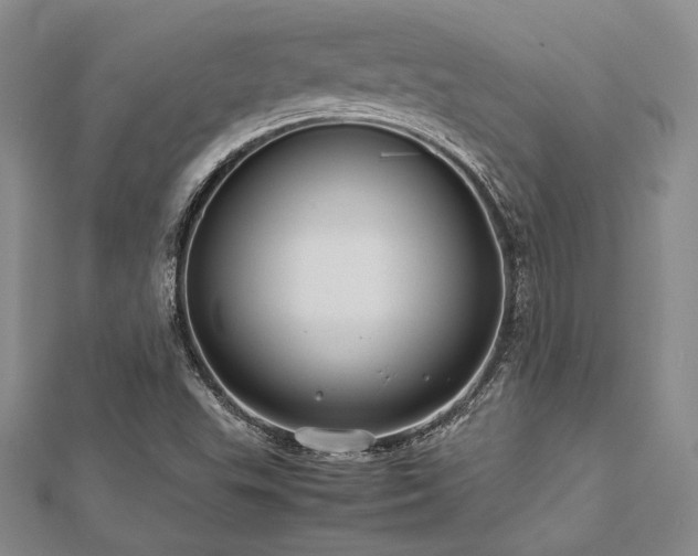 X0000113011503200908271357