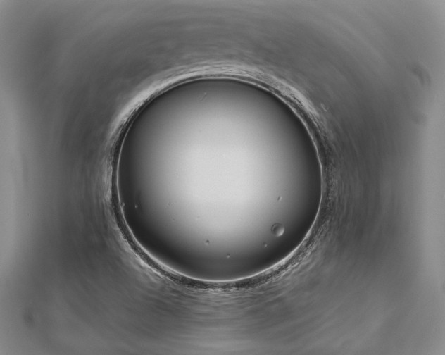 X0000113011504200908271357