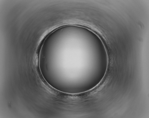 X0000113011509200908271357