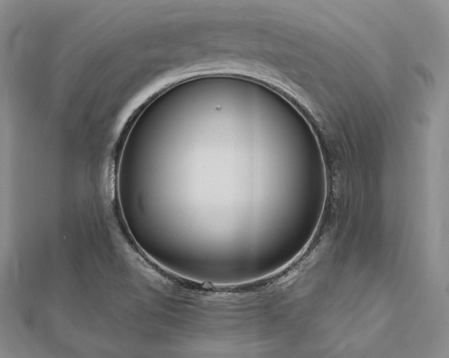 X0000113011510200908271357