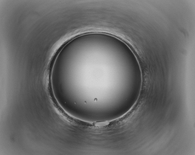 X0000113011511200908271357