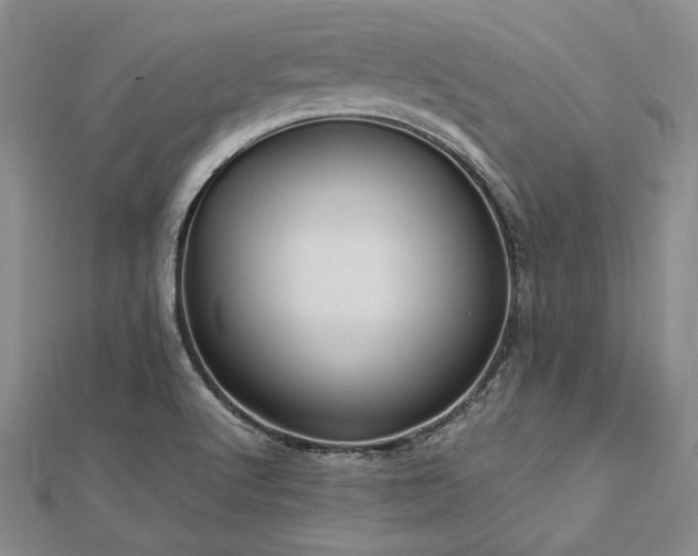 X0000113011512200908271357