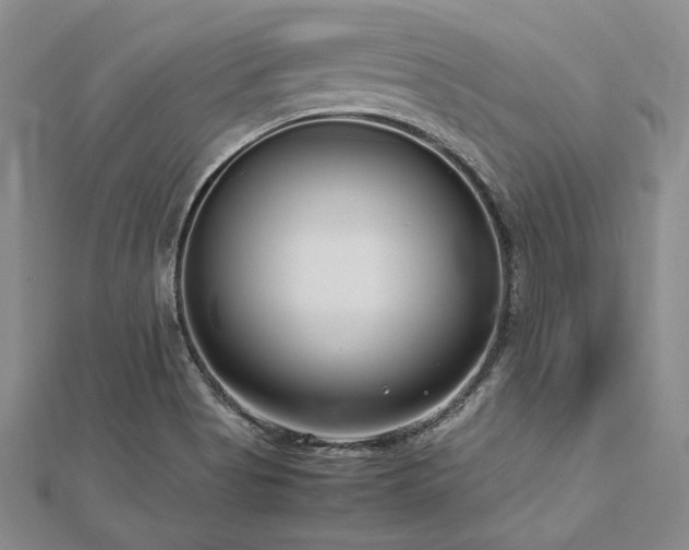 X0000113011513200908271357