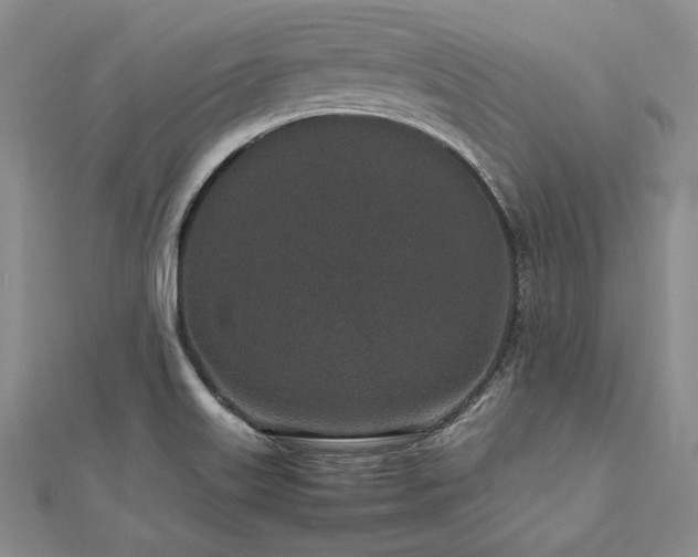 X0000113011515200908271357