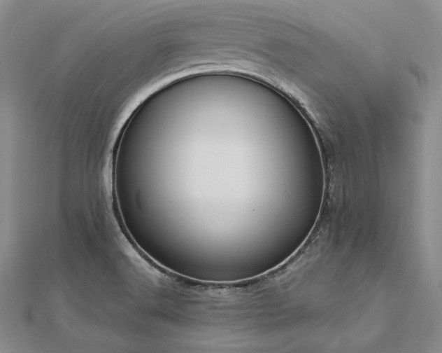 X0000113011516200908271357