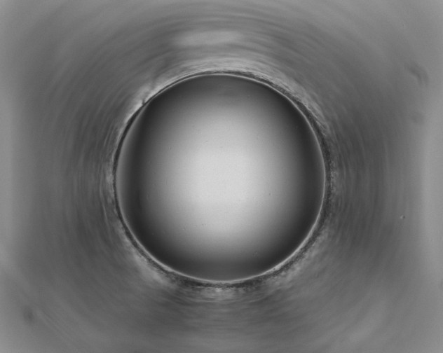 X0000113011521200908271357