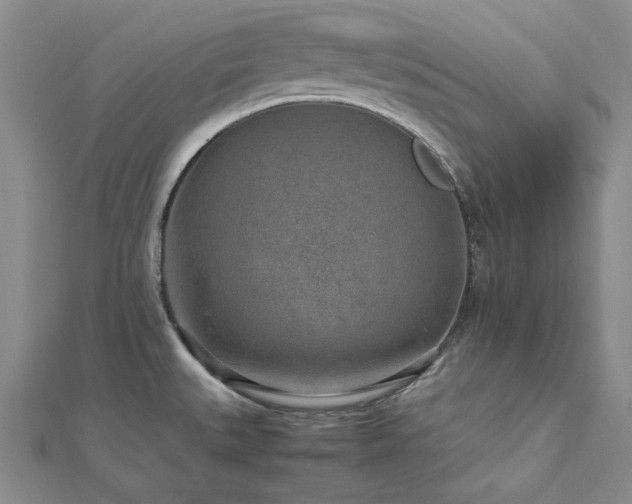 X0000113011527200908271358