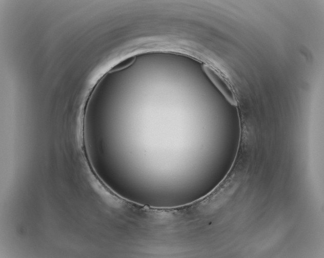 X0000113011528200908271358