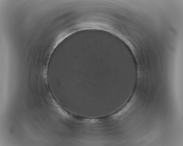 X0000113011529200908271358