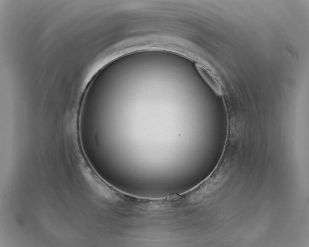 X0000113011530200908271358