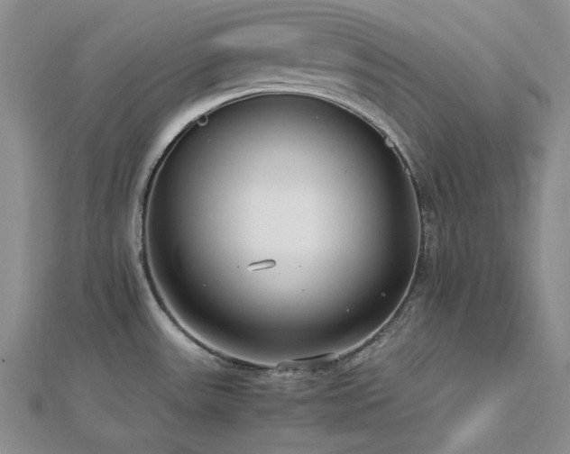 X0000113011531200908271358