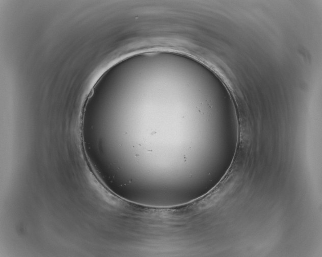 X0000113011532200908271358