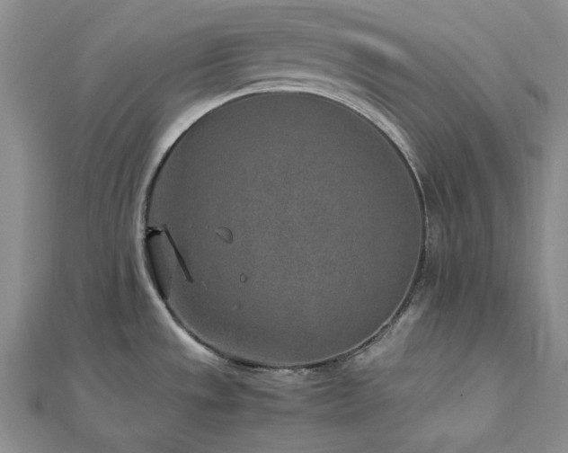 X0000113011533200908271358