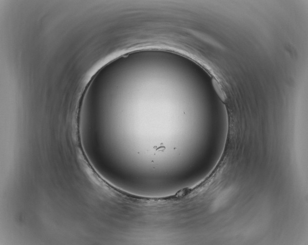 X0000113011534200908271358