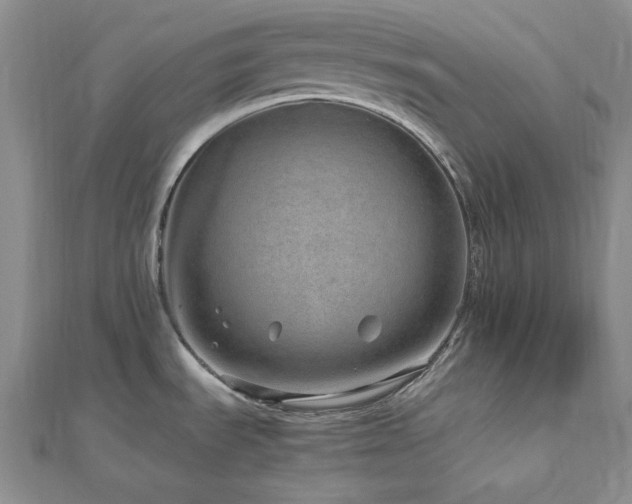 X0000113011535200908271358