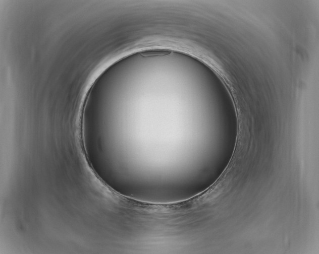 X0000113011536200908271358