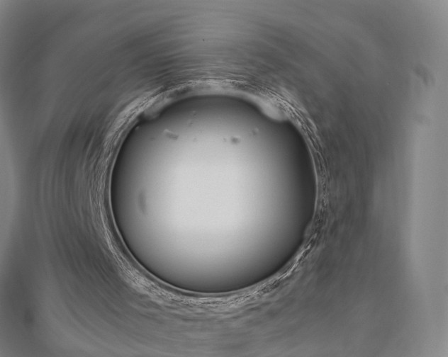 X0000113010001200909031323