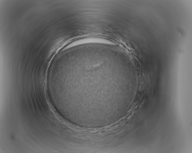 X0000113010002200909031323