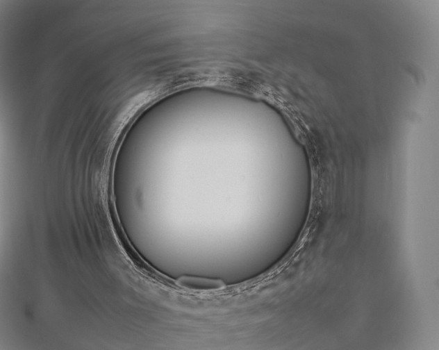 X0000113010003200909031323