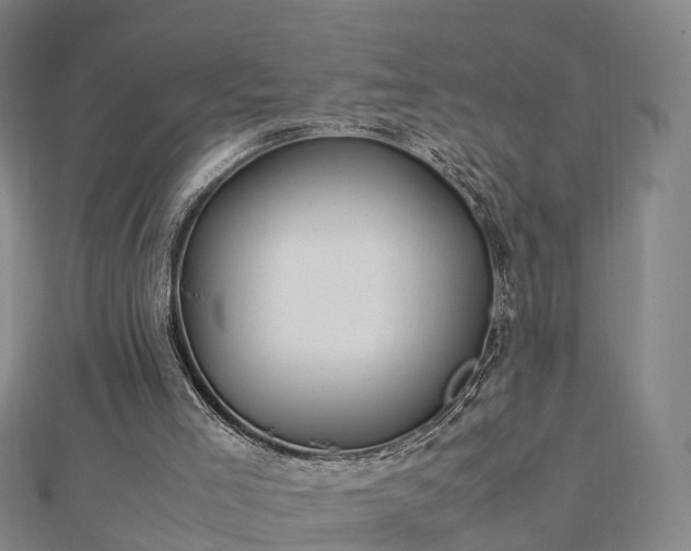 X0000113010005200909031323